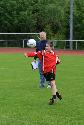 Trainer Rolf Ludwig, Lukas Halbe